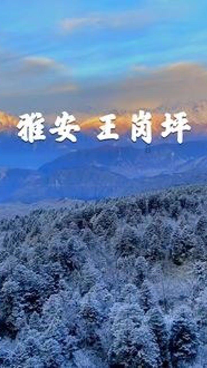 大豪宅逃脱9