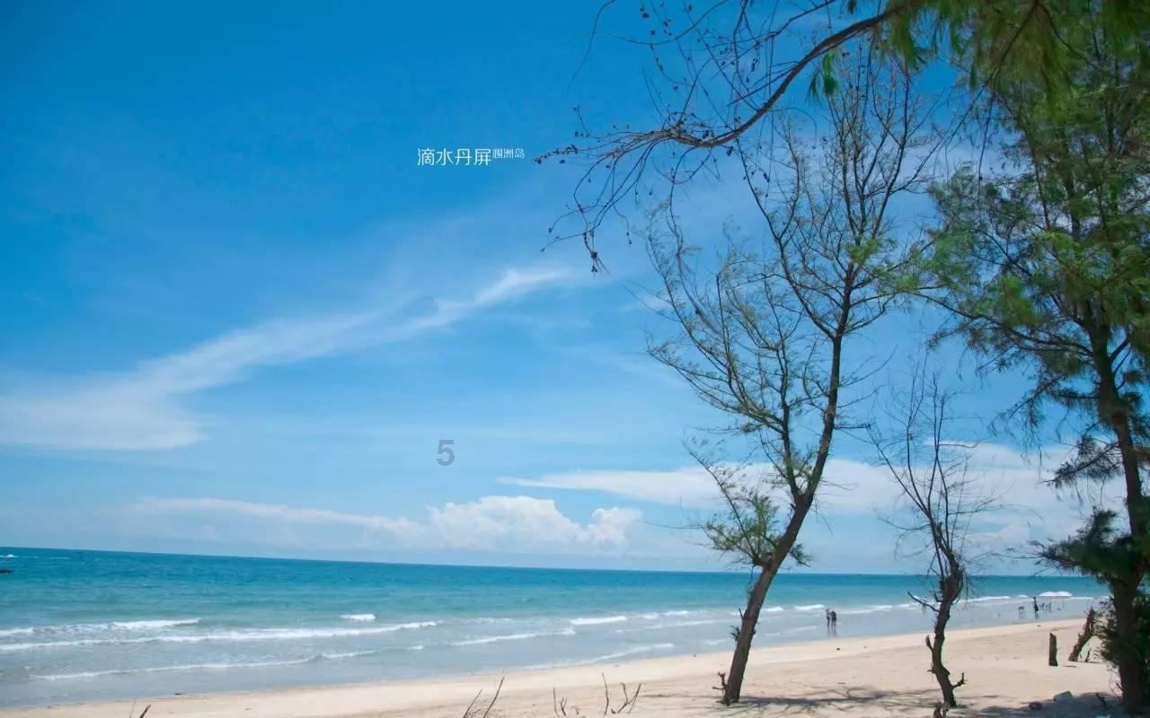 讲好新青海故事 奏响新时代强音