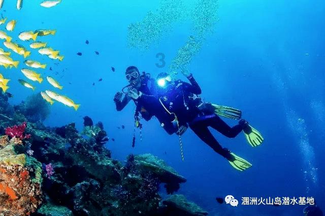 古琴和古筝哪个比较好学？