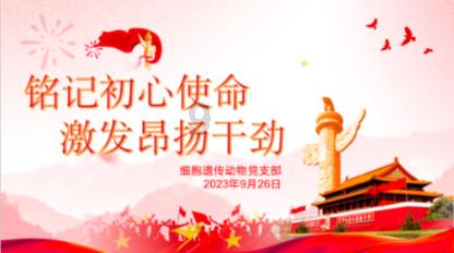 逗小猴开心系列191