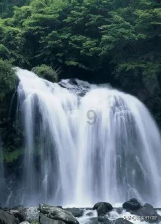 西双版纳3个党委上榜！关于命名云南省第一批“云岭先锋党建带群建示范单位”的决定