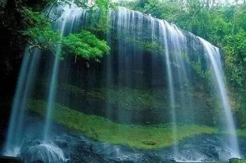 沪江开心词场
