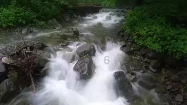 中国象棋速测吧