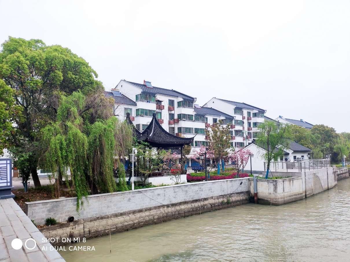 蒋欣:中专毕业成一线顶流,韩红说没人敢潜规则的她为何无人敢娶