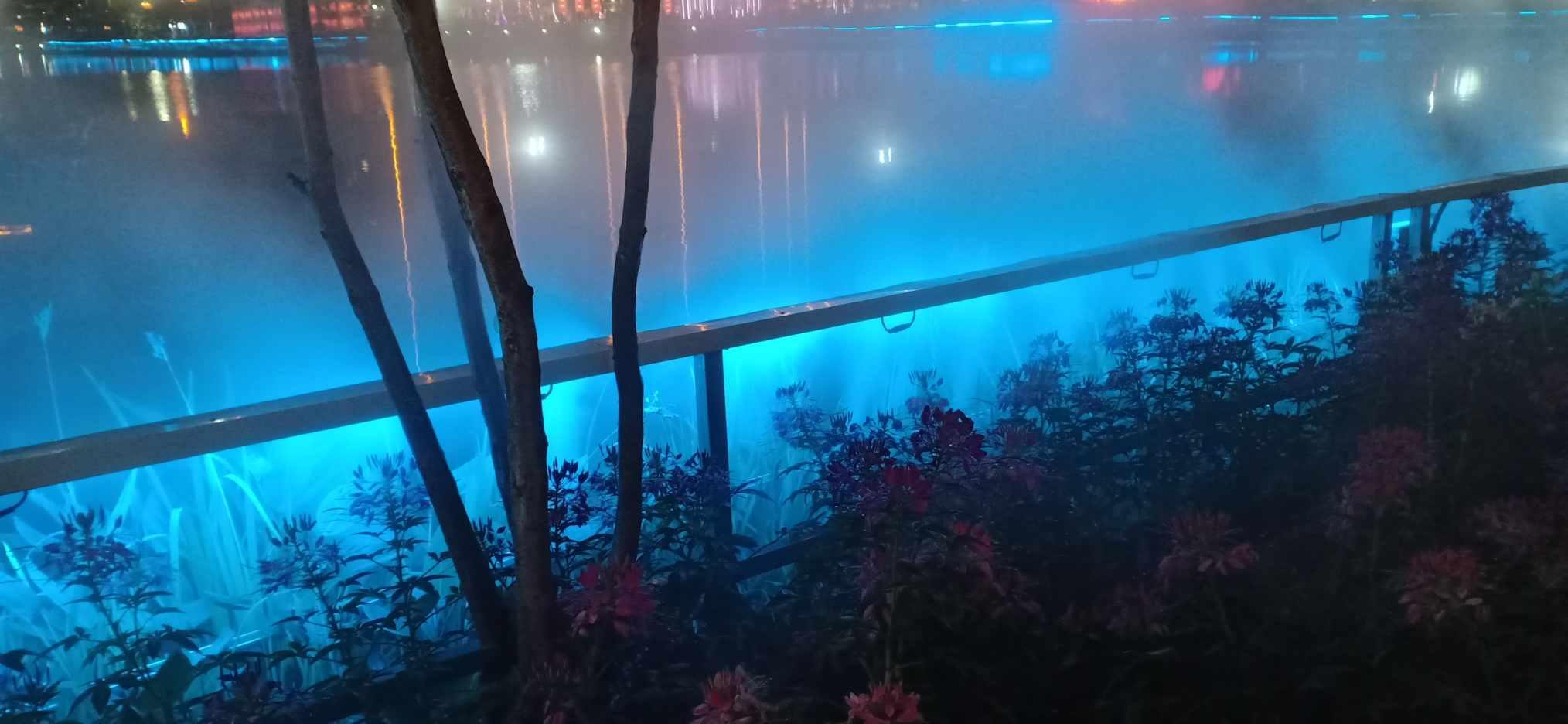 拯救巧虎2